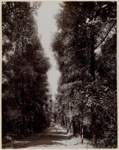 KITLV - 53175 - Lambert & Co., G.R. - Singapore - Nassim Road on the north side of the Botanical Garden in Singapore - circa 1895