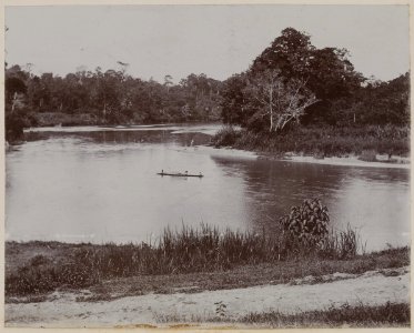 KITLV - 53179 - Lambert & Co., G.R. - Singapore - Botanical Garden at Singapore - circa 1895 photo