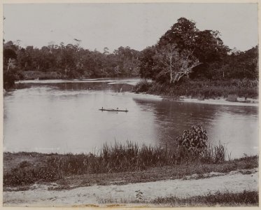 KITLV - 53179 - Lambert & Co., G.R. - Singapore - Botanical Garden at Singapore - circa 1895