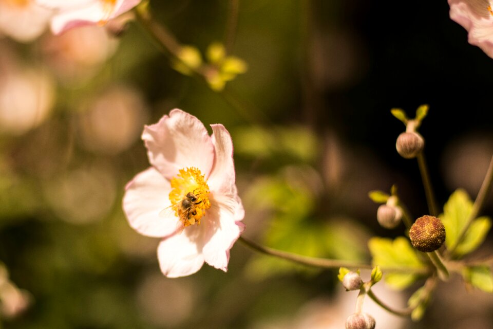 Floral spring summer