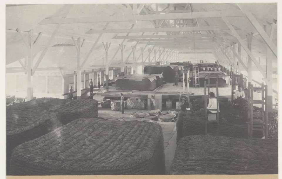 KITLV - 5496 - Kleingrothe, C.J. - Medan - Piles of tobacco at a tobacco plantation of the Deli Maatschappij (Deli Company) in Deli - circa 1915