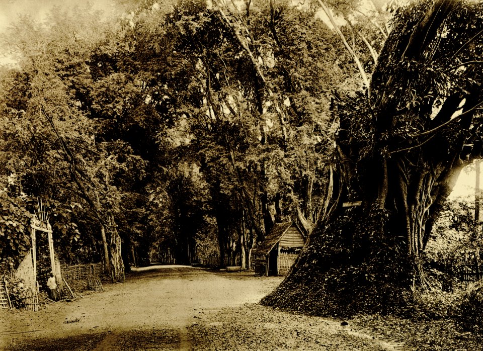 KITLV - 75197 - Kurkdjian, Fotograaf George P. Lewis, aldaar werkzaam - Sourabaya, Java - Main road in East Java - circa 1920