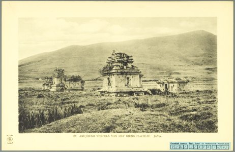 KITLV - 37379 - Demmeni, J. - Tulp, De - Haarlem - Temple complex on the Dieng plateau, collectively known as Candi Arjuna - 1911