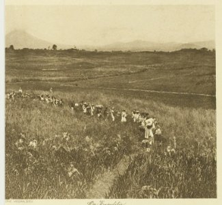 KITLV - 26890 - Kleingrothe, C.J. - Medan - Expedition, Batak - circa 1905