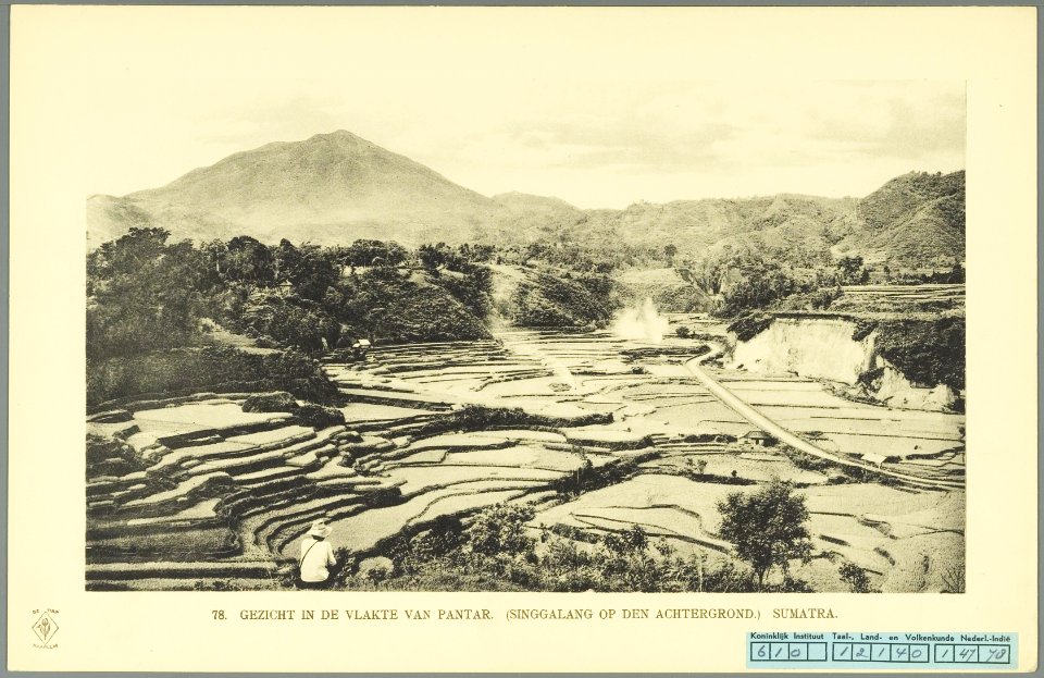 KITLV - 37407 - Demmeni, J. - Tulp, De - Haarlem - The Pantar plain with the Singgalang in the background - 1911