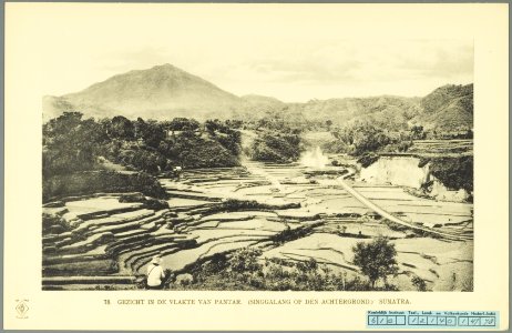 KITLV - 37407 - Demmeni, J. - Tulp, De - Haarlem - The Pantar plain with the Singgalang in the background - 1911