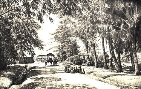 KITLV - 78299 - Kleingrothe, C.J. - Medan - Road on a tobacco plantation of the Amsterdam Deli Company at Padang Bulan in Medan, Sumatra - circa 1900