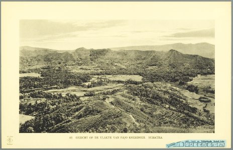 KITLV - 37411 - Demmeni, J. - Tulp, De - Haarlem - The plain of Payakumbuh, Sumatra - 1911