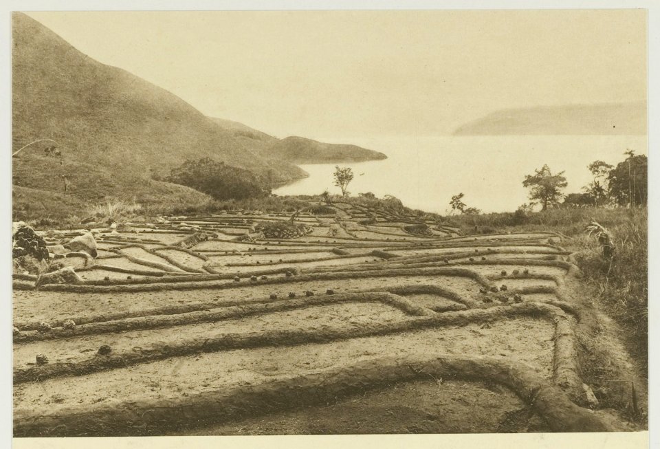 KITLV - 26894 - Kleingrothe, C.J. - Medan - Laying-out of paddy fields near Page at Lake Toba, Sumatra - circa 1905
