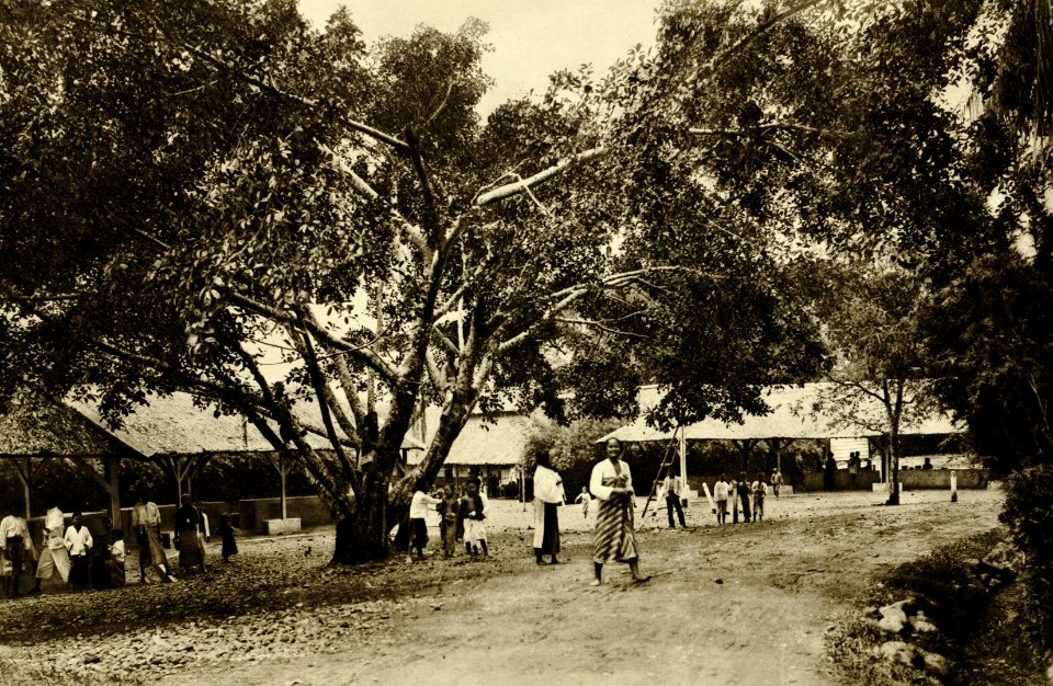 KITLV - 78307 - Kleingrothe, C.J. - Medan - Warungs (shops, small businesses) on a tobacco plantation of the Amsterdam Deli Company at Kal - circa 1900