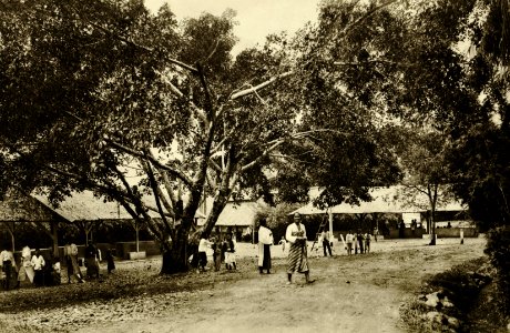 KITLV - 78307 - Kleingrothe, C.J. - Medan - Warungs (shops, small businesses) on a tobacco plantation of the Amsterdam Deli Company at Kal - circa 1900