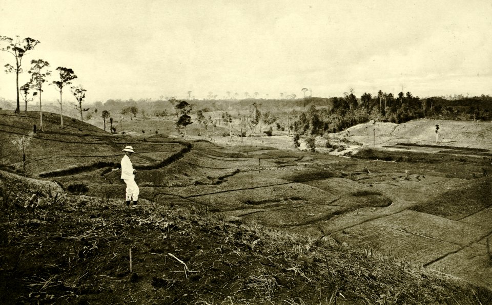 KITLV - 78315 - Kleingrothe, C.J. - Medan - Europeses man on the fields of a tobacco plantation of the Amsterdam Deli Company at Kala Hoen Penang (Kela Hoen Pinang) at Medan - circa 1900