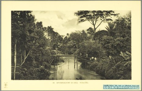 KITLV - 37427 - Demmeni, J. - Tulp, De - Haarlem - River in Deli with improvised bridge and people crossing- - 1911