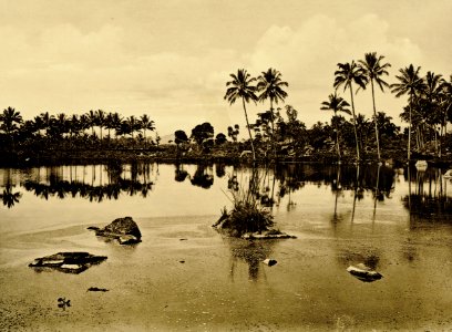 KITLV - 75171 - Kurkdjian, Fotograaf George P. Lewis, aldaar werkzaam - Sourabaya, Java - Fishponds at Cipanas in Garut - circa 1920