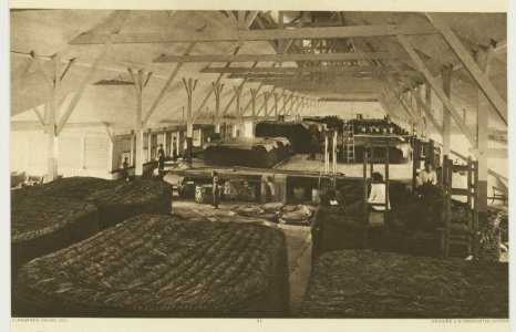 KITLV - 26930 - Kleingrothe, C.J. - Medan - Fermenting tobacco, East Coast of Sumatra - circa 1905