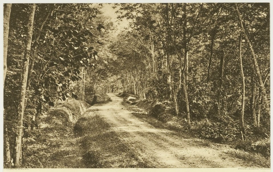 KITLV - 26938 - Kleingrothe, C.J. - Medan - Djohor new plantation, East Coast of Sumatra - circa 1905