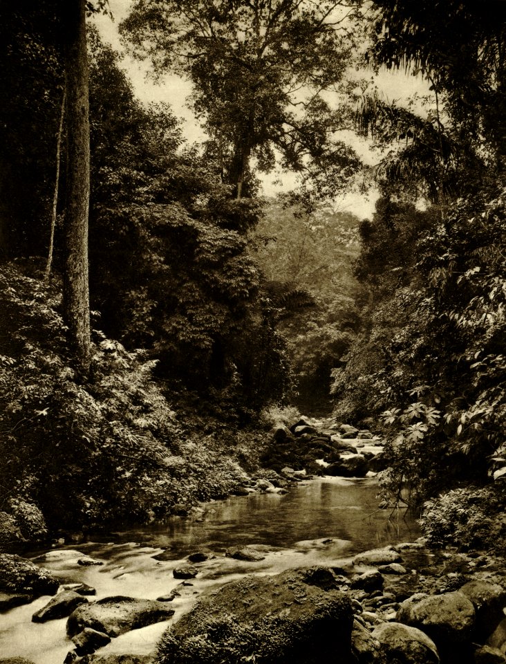 KITLV - 78474 - Kleingrothe, C.J. - Medan - River at Belawan north of Medan, Sumatra - circa 1905