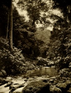 KITLV - 78474 - Kleingrothe, C.J. - Medan - River at Belawan north of Medan, Sumatra - circa 1905