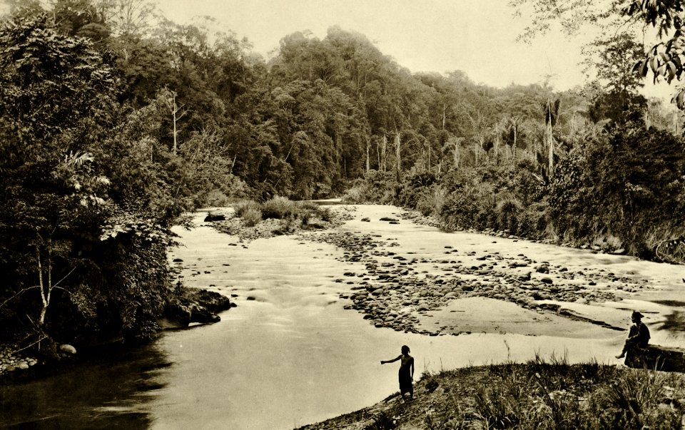 KITLV - 78478 - Kleingrothe, C.J. - Medan - River on the east coast of Sumatra - circa 1905