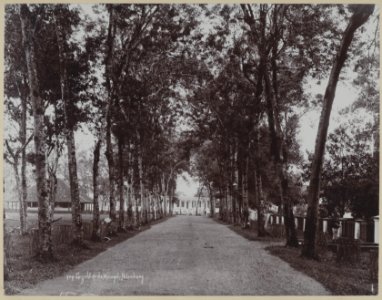 KITLV - 7526 - Lambert & Co., G.R. - Singapore - Driveway at the mosque at Palembang - circa 1900