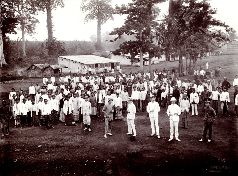 KITLV - 78512 - Kurkdjian - Sourabaia-Java - European men and coolies on a rubber plantation, probably in Java - circa 1915