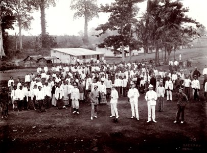 KITLV - 78512 - Kurkdjian - Sourabaia-Java - European men and coolies on a rubber plantation, probably in Java - circa 1915