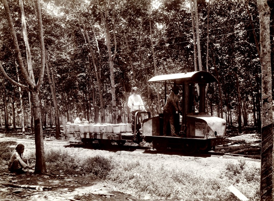 KITLV - 78520 - Kurkdjian - Sourabaia-Java - Transport of rubber by lorry on a plantation, probably in Java - circa 1915