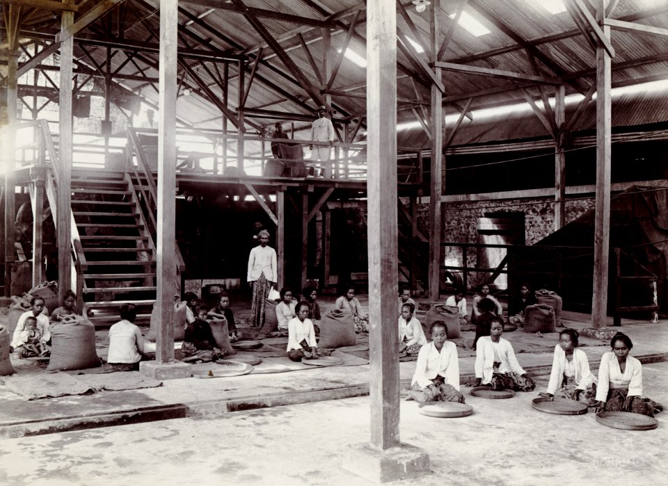 KITLV - 78532 - Kurkdjian - Sourabaia-Java - Women working in the shed of a coffee plantation, presumably in Java - circa 1915