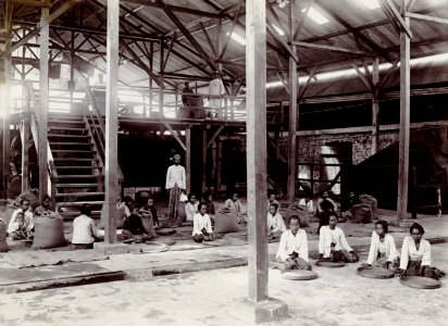KITLV - 78532 - Kurkdjian - Sourabaia-Java - Women working in the shed of a coffee plantation, presumably in Java - circa 1915