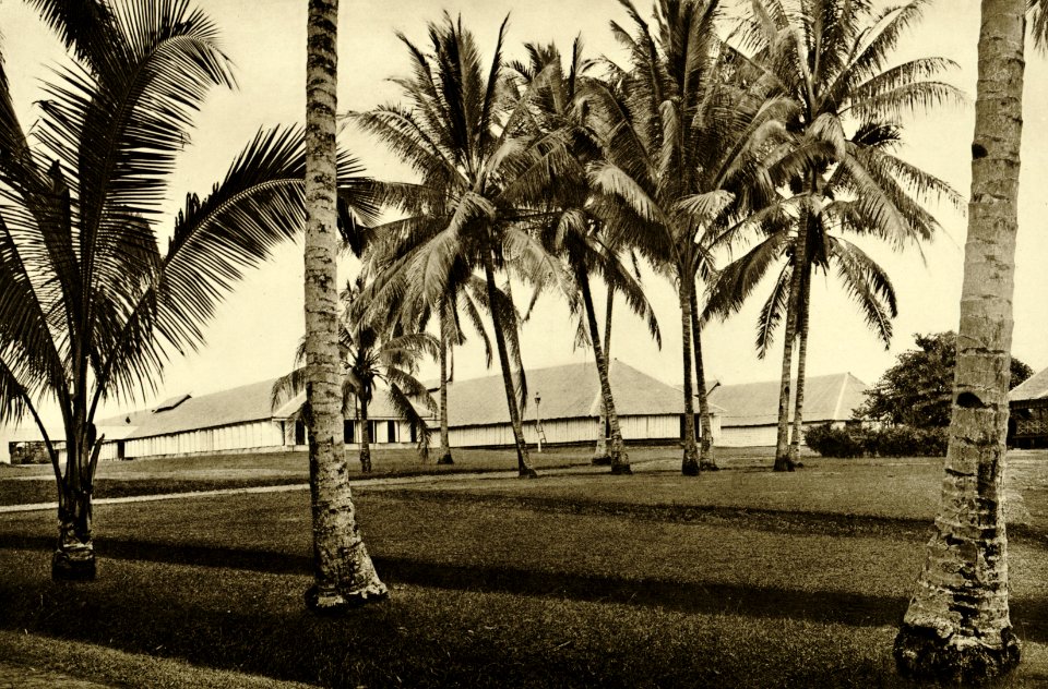 KITLV - 78305 - Kleingrothe, C.J. - Medan - Sorting sheds on a tobacco plantation of the Amsterdam Deli Company at Kala Hoen Penang (Kela Hoen Pinang) near Medan - circa 1900