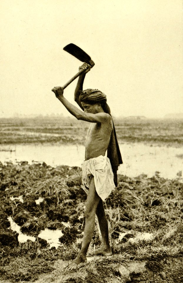 KITLV - 78317 - Kleingrothe, C.J. - Medan - Klingalese coolie on a tobacco plantation of the Amsterdam Deli Company in Medan, Sumatra - circa 1900