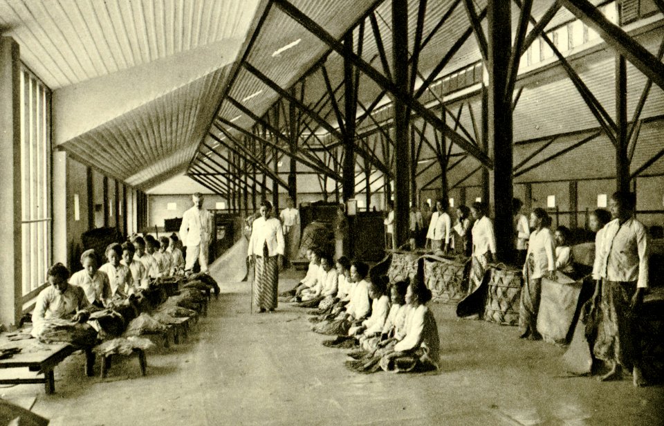KITLV - 78330 - Kleingrothe, C.J. - Medan - Coolies sorting tobacco in a barn of the Amsterdam Deli Company in Medan, Sumatra - circa 1900