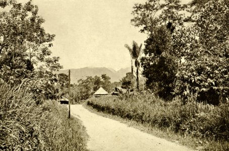 KITLV - 78338 - Kleingrothe, C.J. - Medan - Road to Bandar Baru south of Medan, Sumatra - circa 1900
