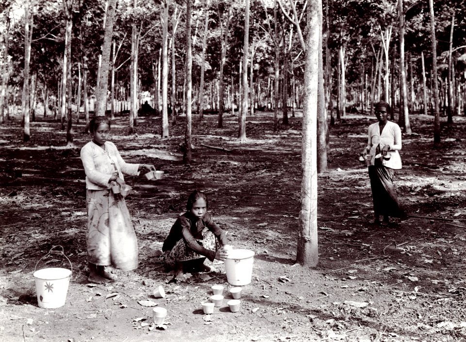 KITLV - 78518 - Kurkdjian - Sourabaia-Java - Women at work on a rubber plantation, probably in Java - circa 1915