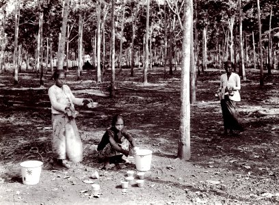 KITLV - 78518 - Kurkdjian - Sourabaia-Java - Women at work on a rubber plantation, probably in Java - circa 1915