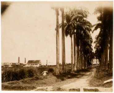 KITLV - 39051 - Muller, Julius Eduard - Paramaribo - Former plantation Alkmaar at the Commewijne River in Surinam - circa 1885
