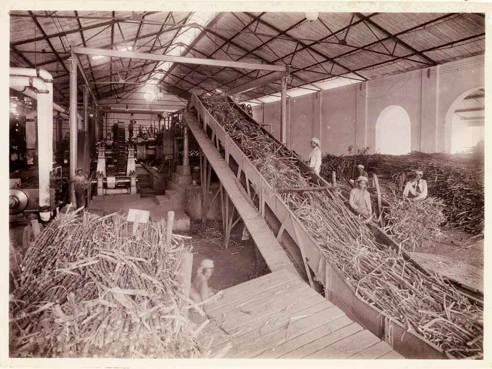 KITLV - 30194 - Kurkdjian, N.V. Photografisch Atelier - Soerabaja - Sugar company in East Java - 1921