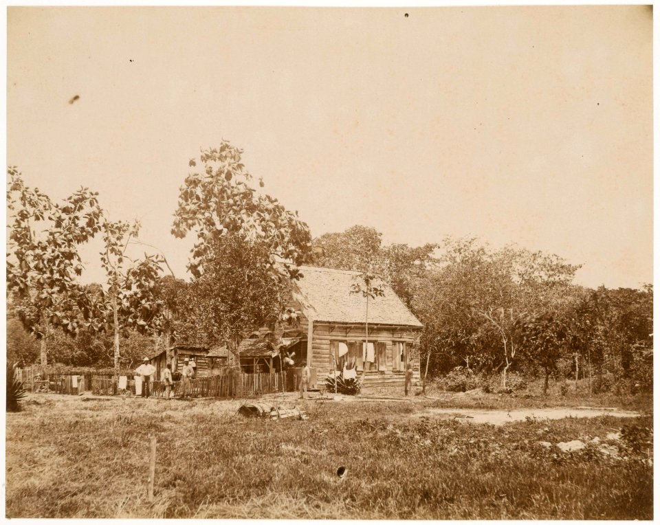 KITLV - 39063 - Muller, Julius Eduard - Paramaribo - Plantation Waterland (cocoa, cereals, bananas) in Surinam - circa 1885