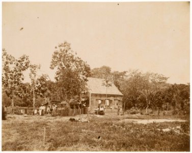 KITLV - 39063 - Muller, Julius Eduard - Paramaribo - Plantation Waterland (cocoa, cereals, bananas) in Surinam - circa 1885 photo