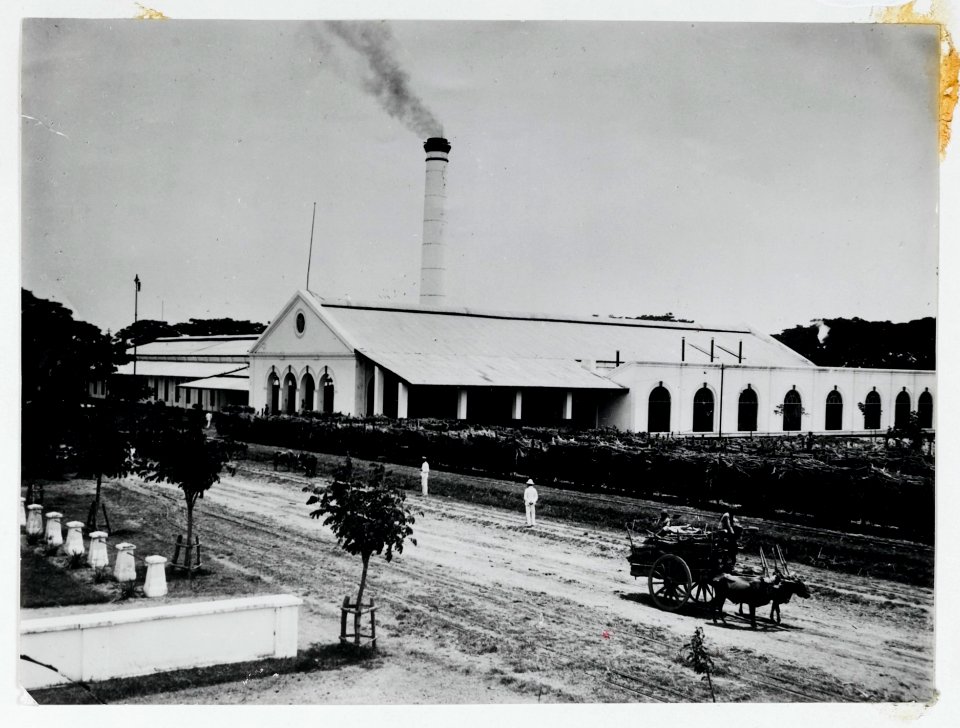 KITLV - 30211 - Kurkdjian, N.V. Photografisch Atelier - Soerabaja - Sugar plantation in East Java - 1921