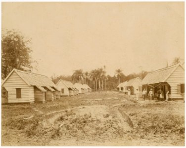 KITLV - 39067 - Muller, Julius Eduard - Paramaribo - Coolie housing in Surinam - circa 1885 photo