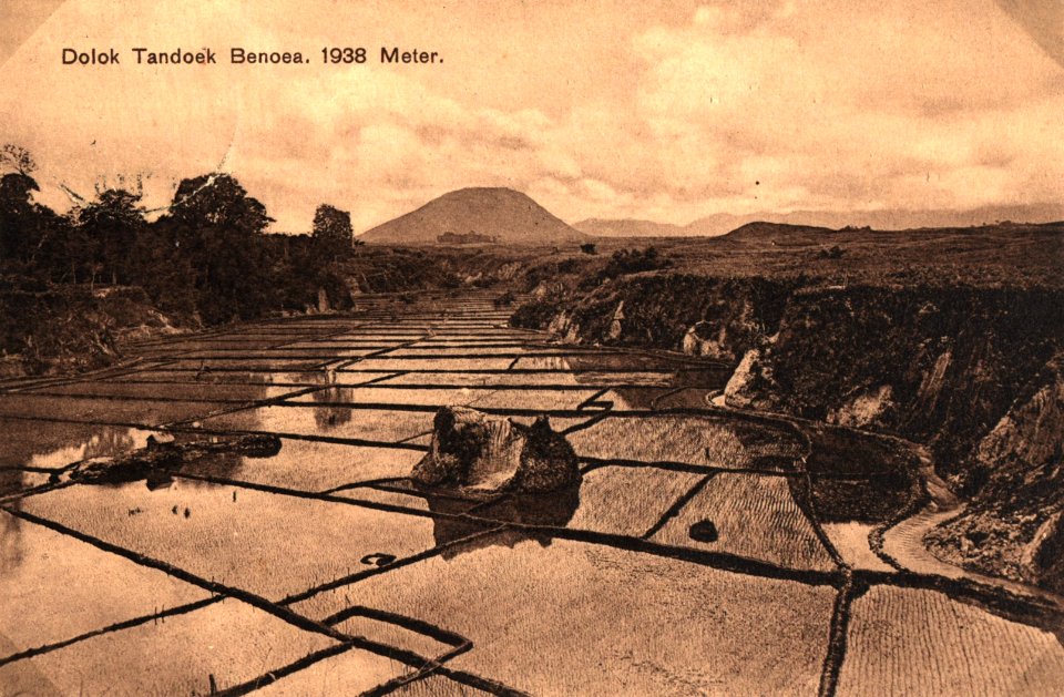 KITLV - 404520 - Kleingrothe, C.J. - Medan - Paddy field near Rakut Besi in the Batak - circa 1905