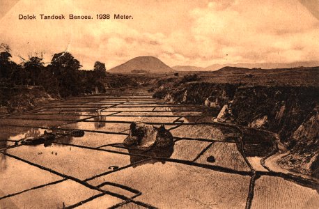 KITLV - 404520 - Kleingrothe, C.J. - Medan - Paddy field near Rakut Besi in the Batak - circa 1905