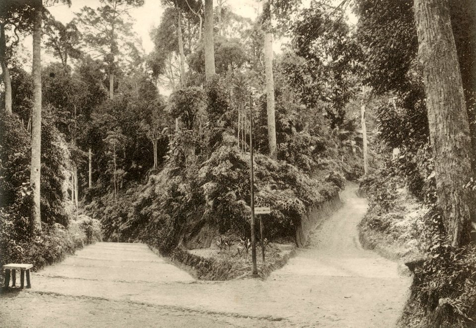 KITLV - 80043 - Kleingrothe, C.J. - Medan - Road at the Crag Hotel in Penang - circa 1910