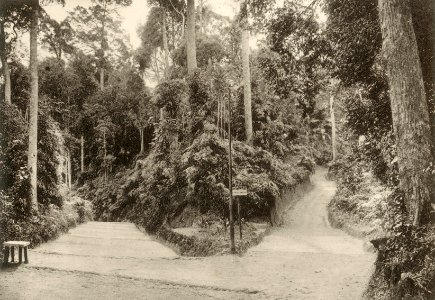 KITLV - 80043 - Kleingrothe, C.J. - Medan - Road at the Crag Hotel in Penang - circa 1910