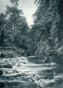 KITLV - 80226 - Kleingrothe, C.J. - Medan - River, probably in the east coast of Sumatra - 1898