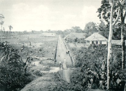 KITLV - 80234 - Kleingrothe, C.J. - Medan - Assistant's house adjacent fields and barns under construction, presumably at a plantation in the east coast of Sumatra - 1898