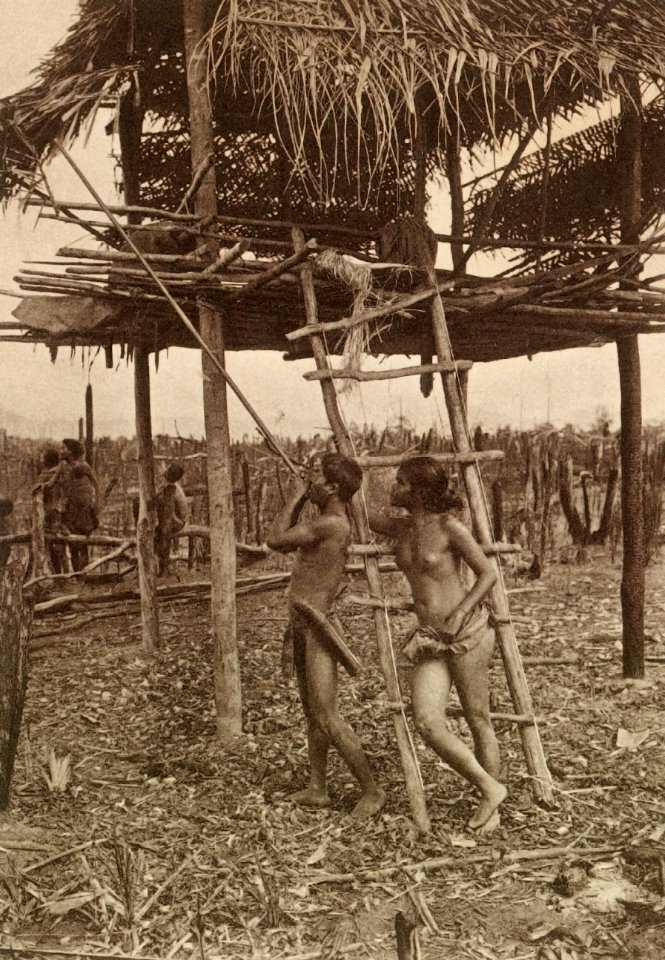 KITLV - 80013 - Kleingrothe, C.J. - Medan - Sakai, presumably from the Riau Archipelago - circa 1910