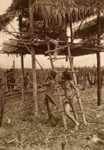 KITLV - 80013 - Kleingrothe, C.J. - Medan - Sakai, presumably from the Riau Archipelago - circa 1910