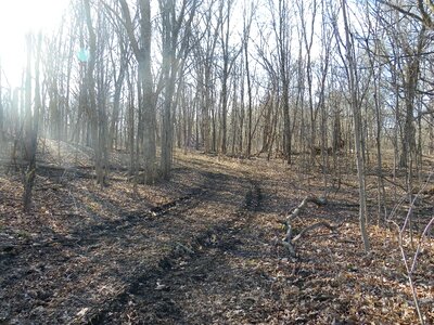 Outdoor mud gray path